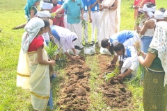 Farmers Day- 2022-23 - ECO club members planting saplings