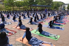 Yoga For All -Bhujangasana