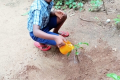 Environment-day-2021-22-activity-planting-a-sapling-2