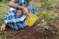 Environment-day-2021-22-activity-planting-a-sapling1