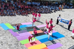 International-Yoga-Day-2026-yoga-asanas-1
