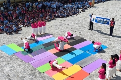 International-Yoga-Day-2026-yoga-asanas