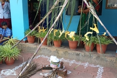 Pongal-2024-Tamil tradition