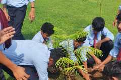 Environment-day-2026-27-Tree-Adoption-ProgrammE-planting-saplings-on-the-campus
